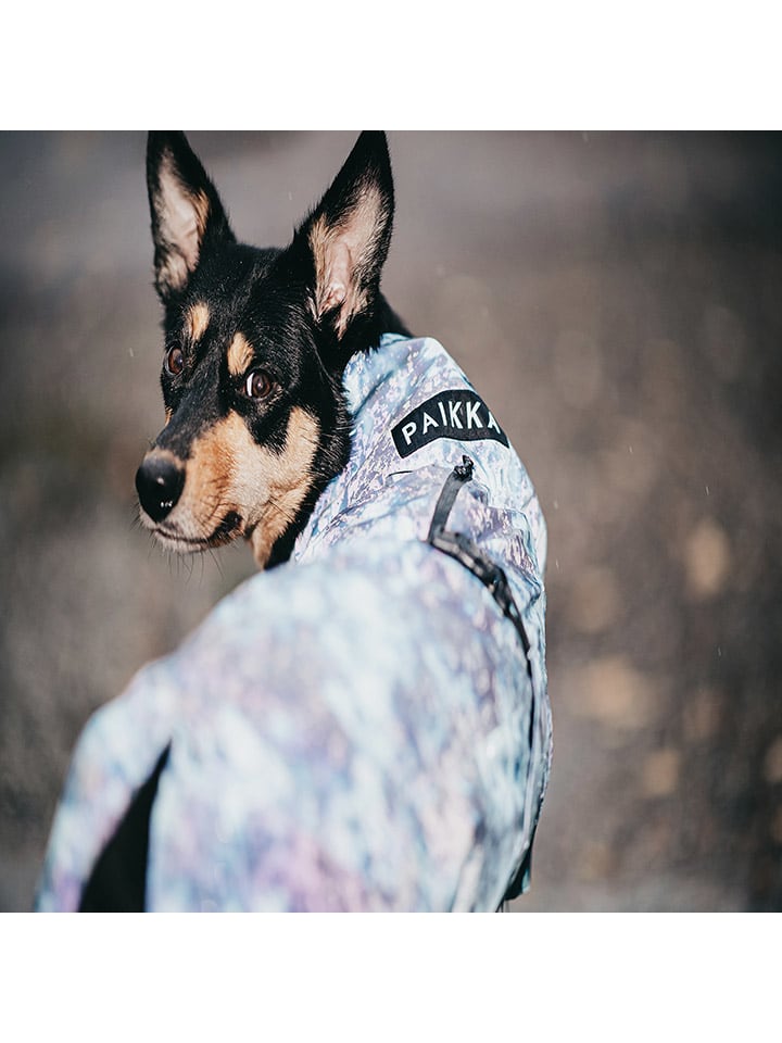 Paikka Hunde-Regenmantel in Blau günstig kaufen