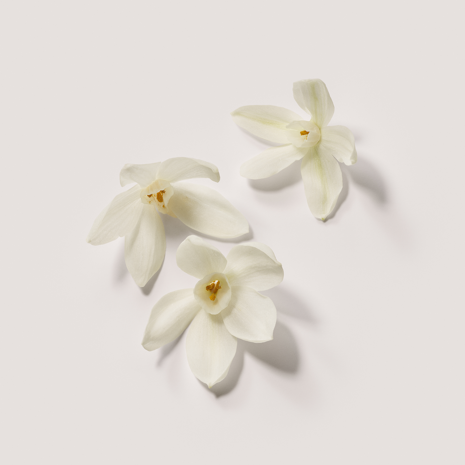 Laura Mercier Néroli du Sud Crème Soufflée pour les Mains