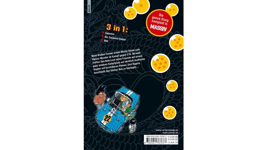 Dragon Ball Massiv 13