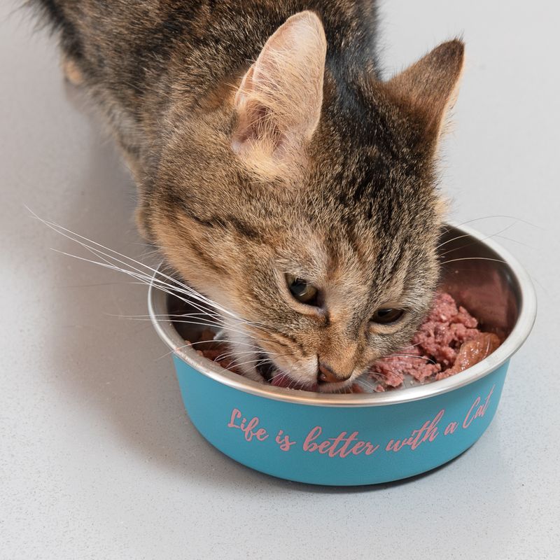 TIAKI Edelstahlnapf Better With A Cat zu TOP-Preisen | bitiba.de