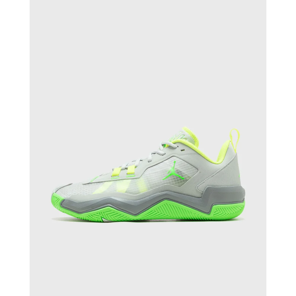 NIKE JORDAN One Take 4 DZ3338-003 / grau