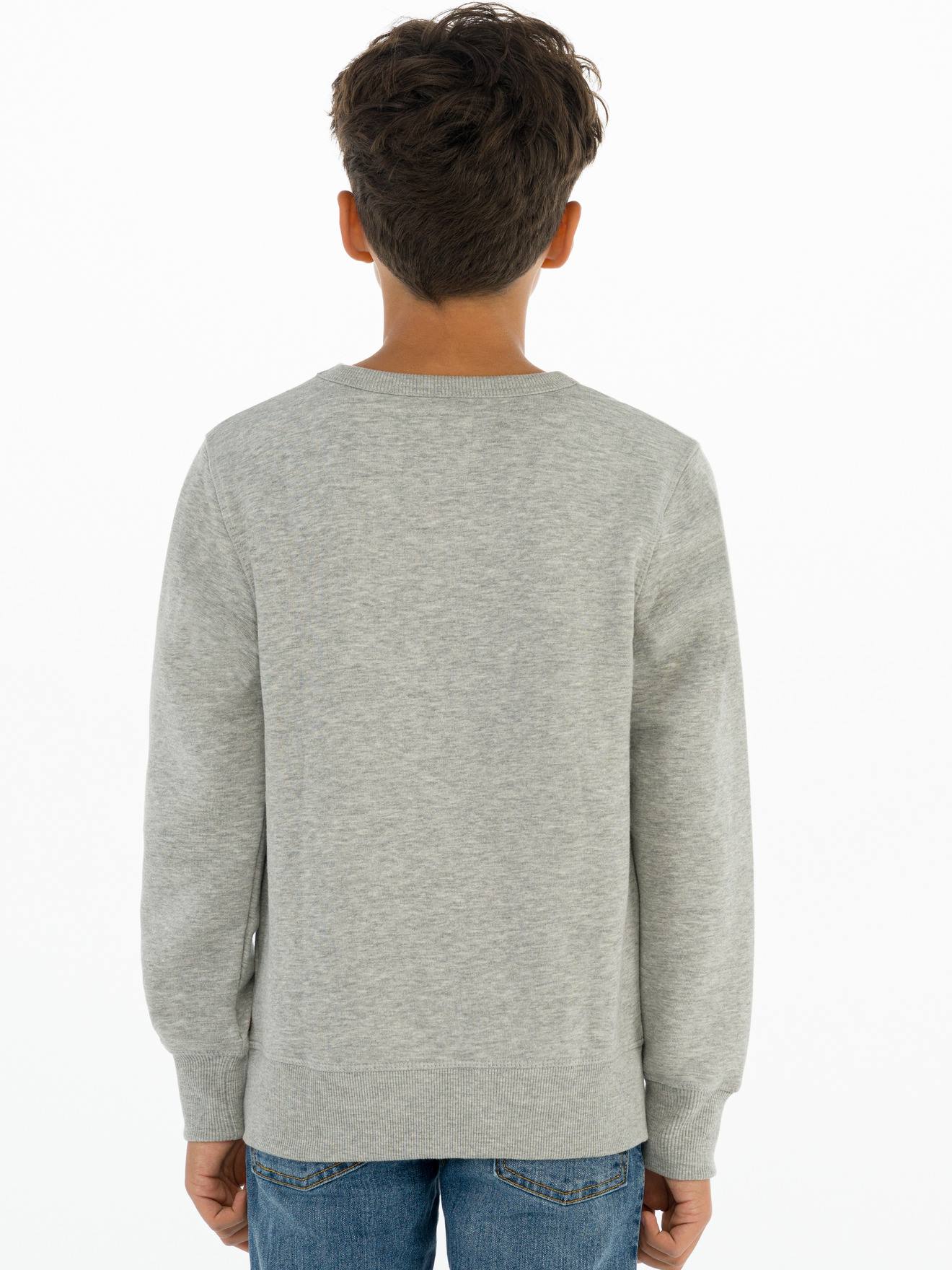 Levis Jungen Sweatshirt Batwing Crewneck Levi's - grau