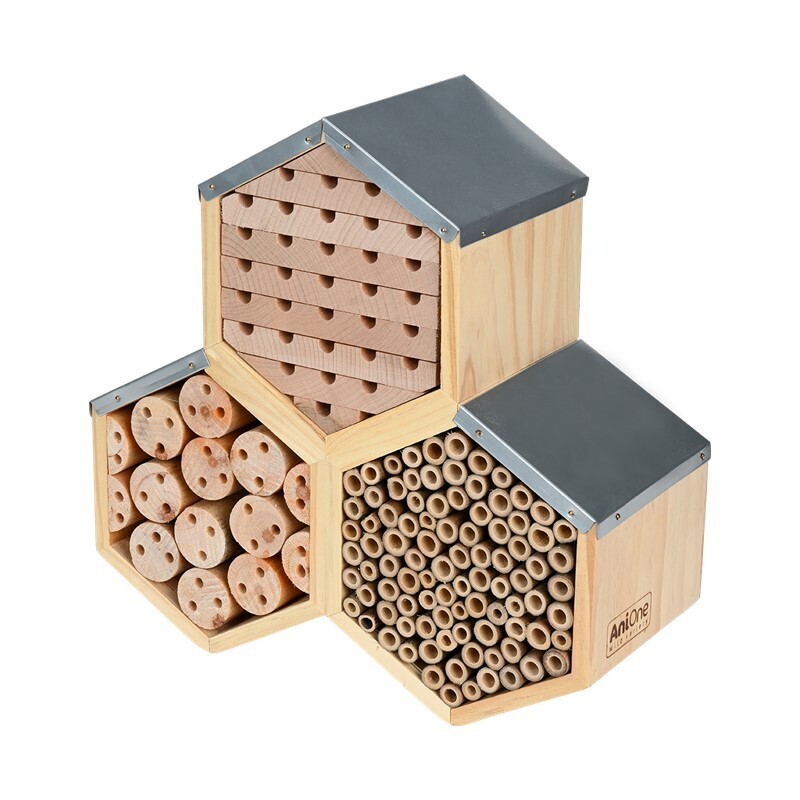 AniOne Insekten AniOne Insektenhotel Wabe