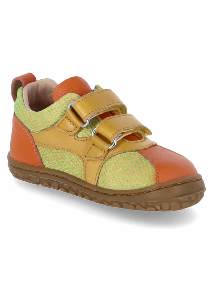 Lurchi Klettschuhe NEVIO BAREFOOT in Gelb günstig kaufen