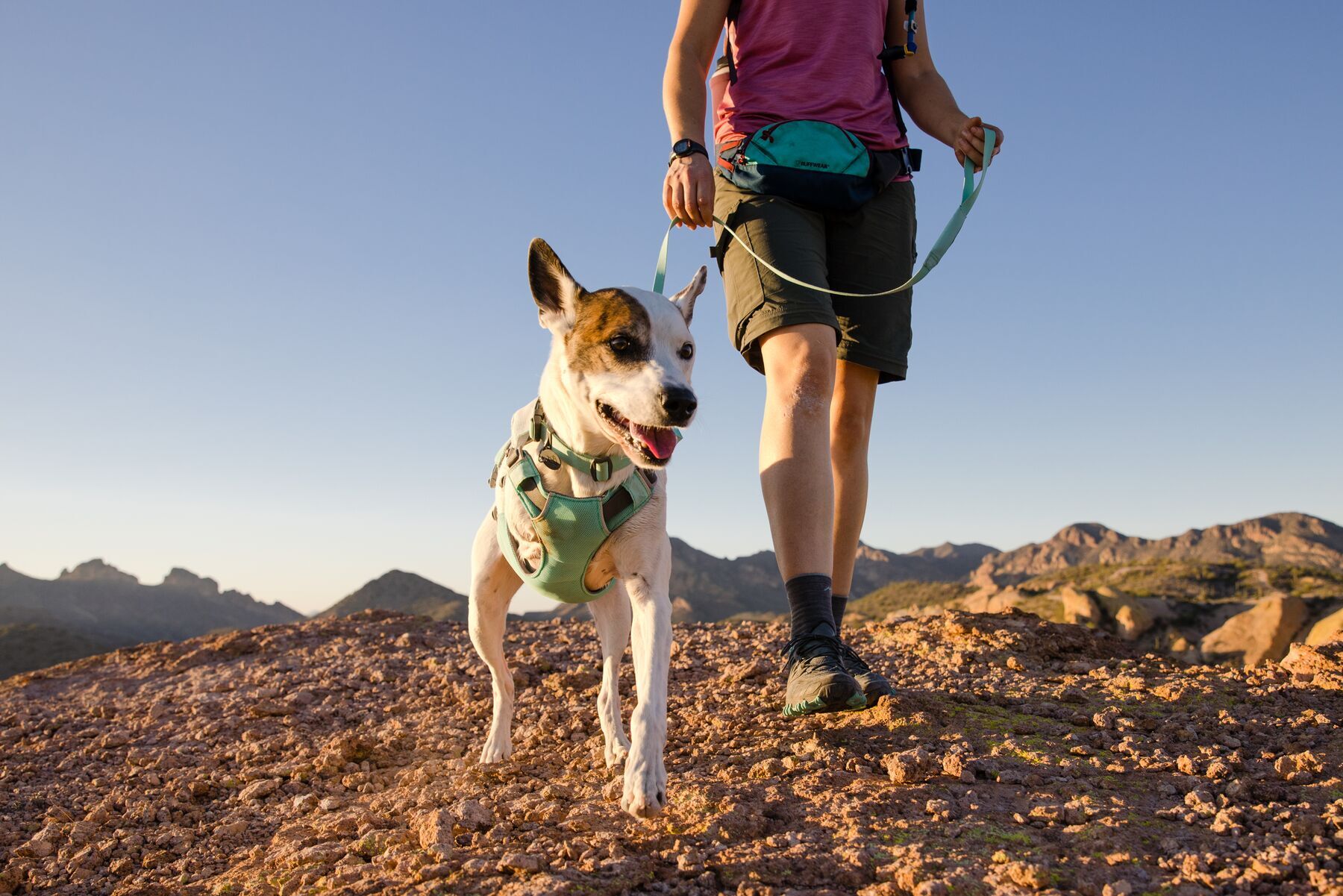 Ruffwear Hundegeschirre Ruffwear Swamp Cooler™ Geschirr grün XXS