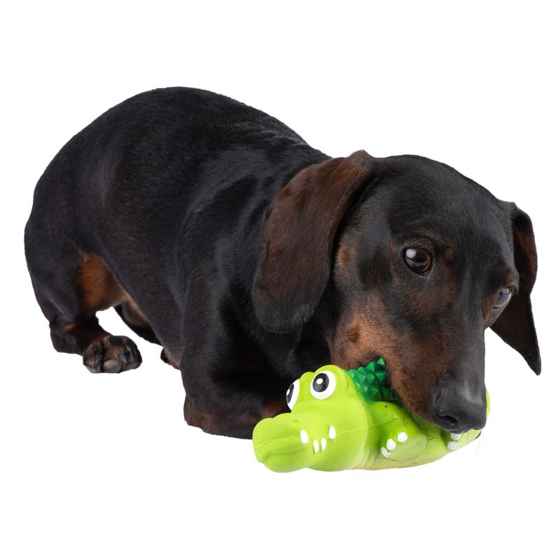 Hundespielzeug Latex Crocodylus zu TOP-Preisen