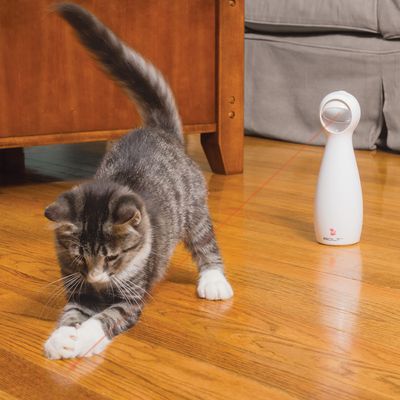 PetSafe® FroliCat® Bolt Laser Katzenspielzeug