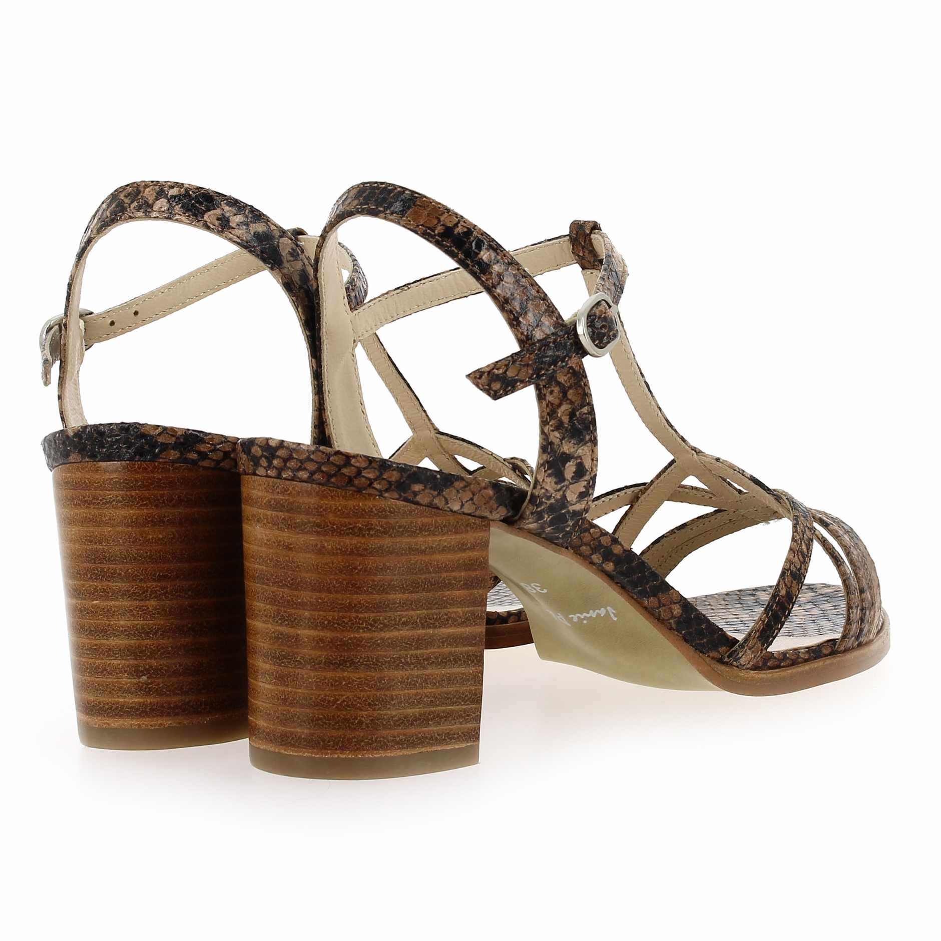 Janie Philip  GAMA - Camel Python