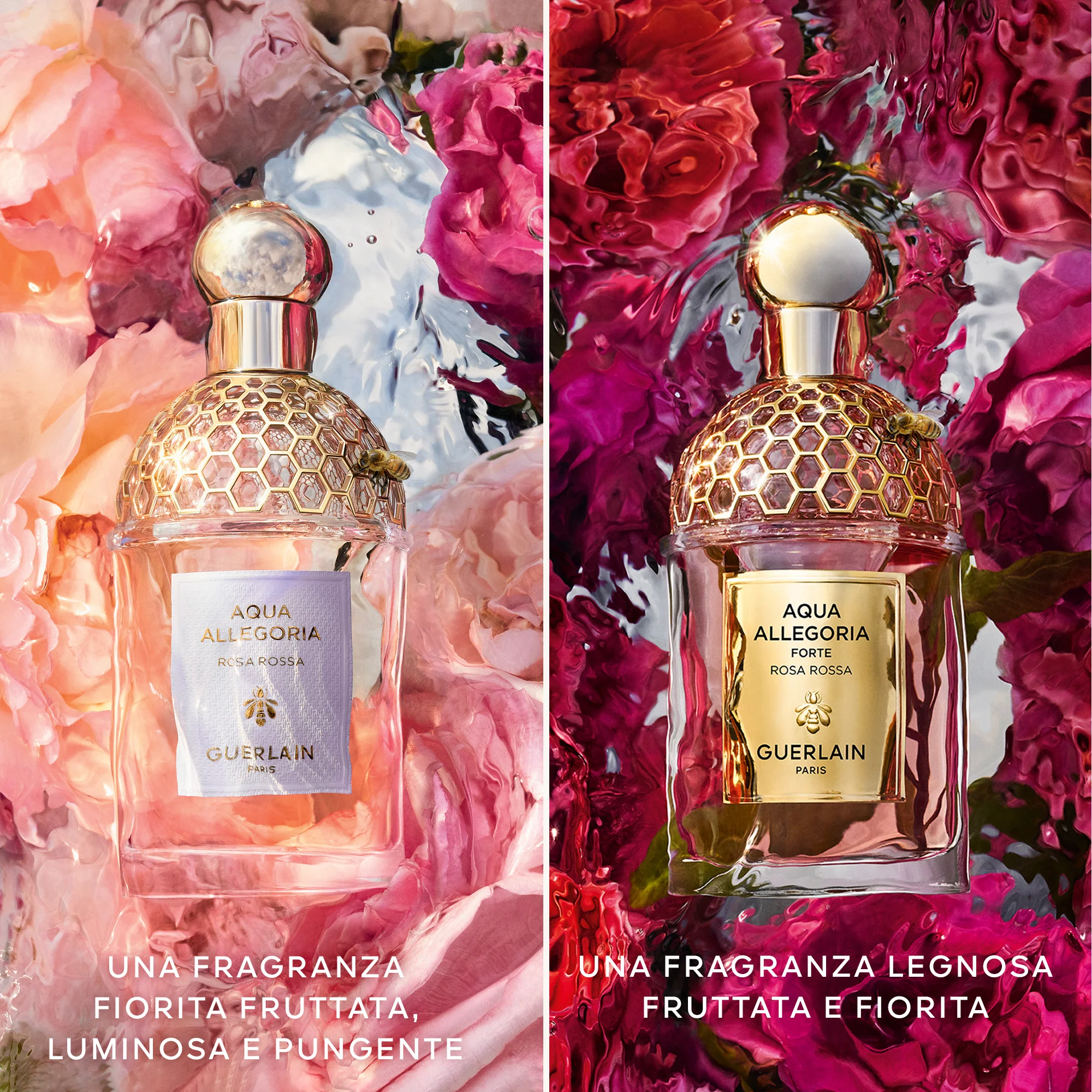 Aqua Allegoria Strong Red Rose - Eau de Parfum - Parfumska voda