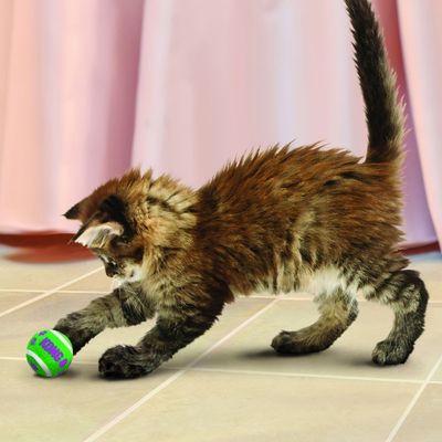 KONG Active Katze Tennisbälle mit Glocken
