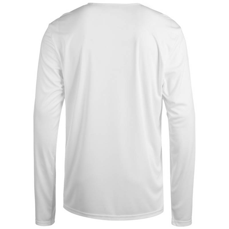 PUMA Hoops Team Langarmshirt Herren