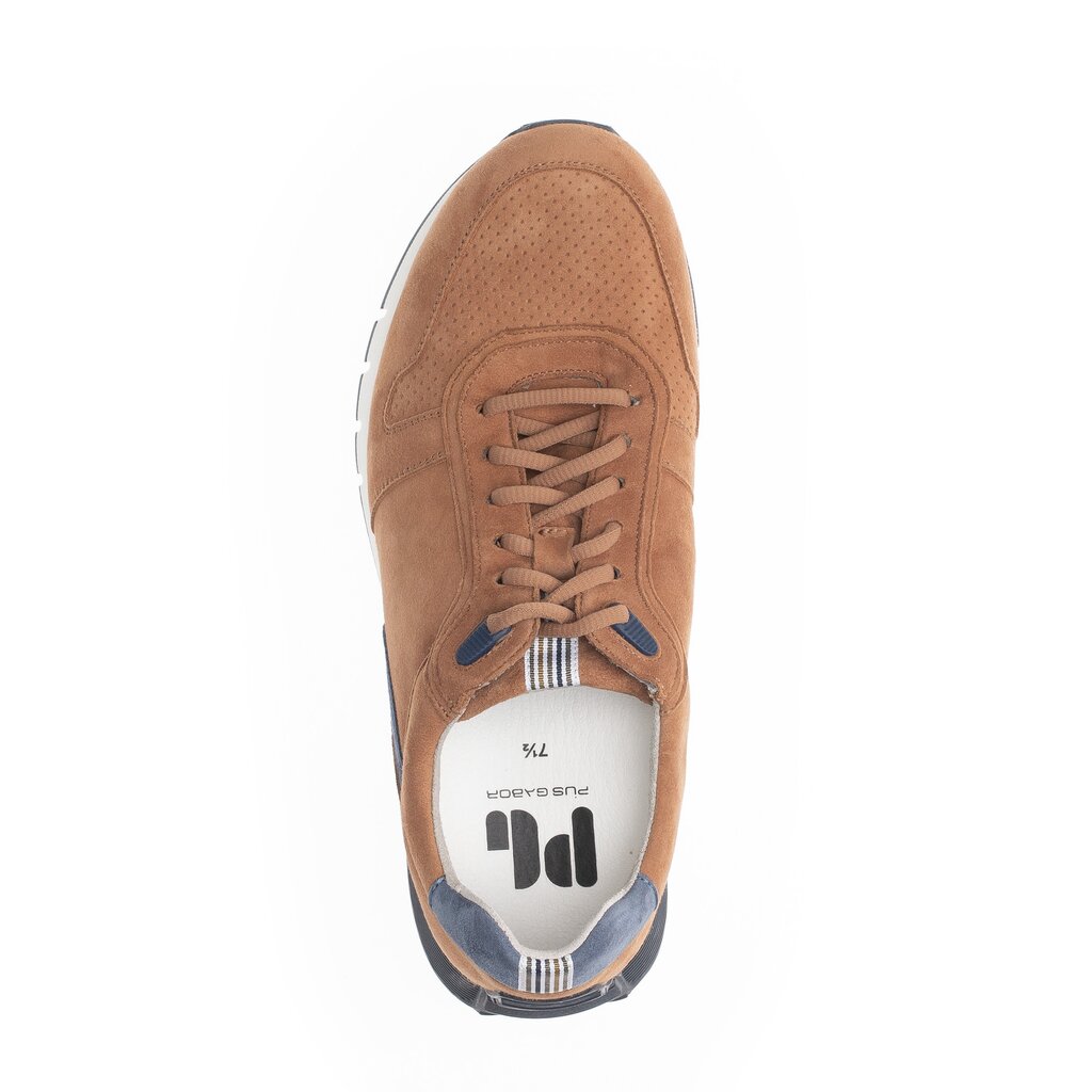 Pius Gabor PG1036 Sneaker low braun