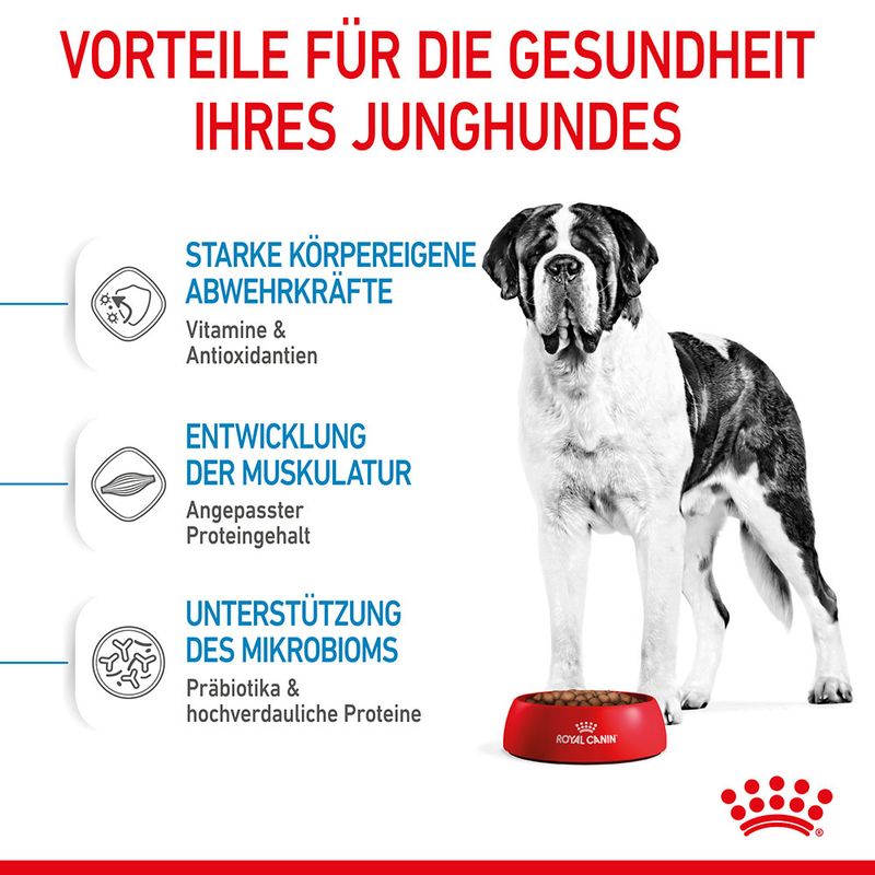 Royal Canin Giant Junior