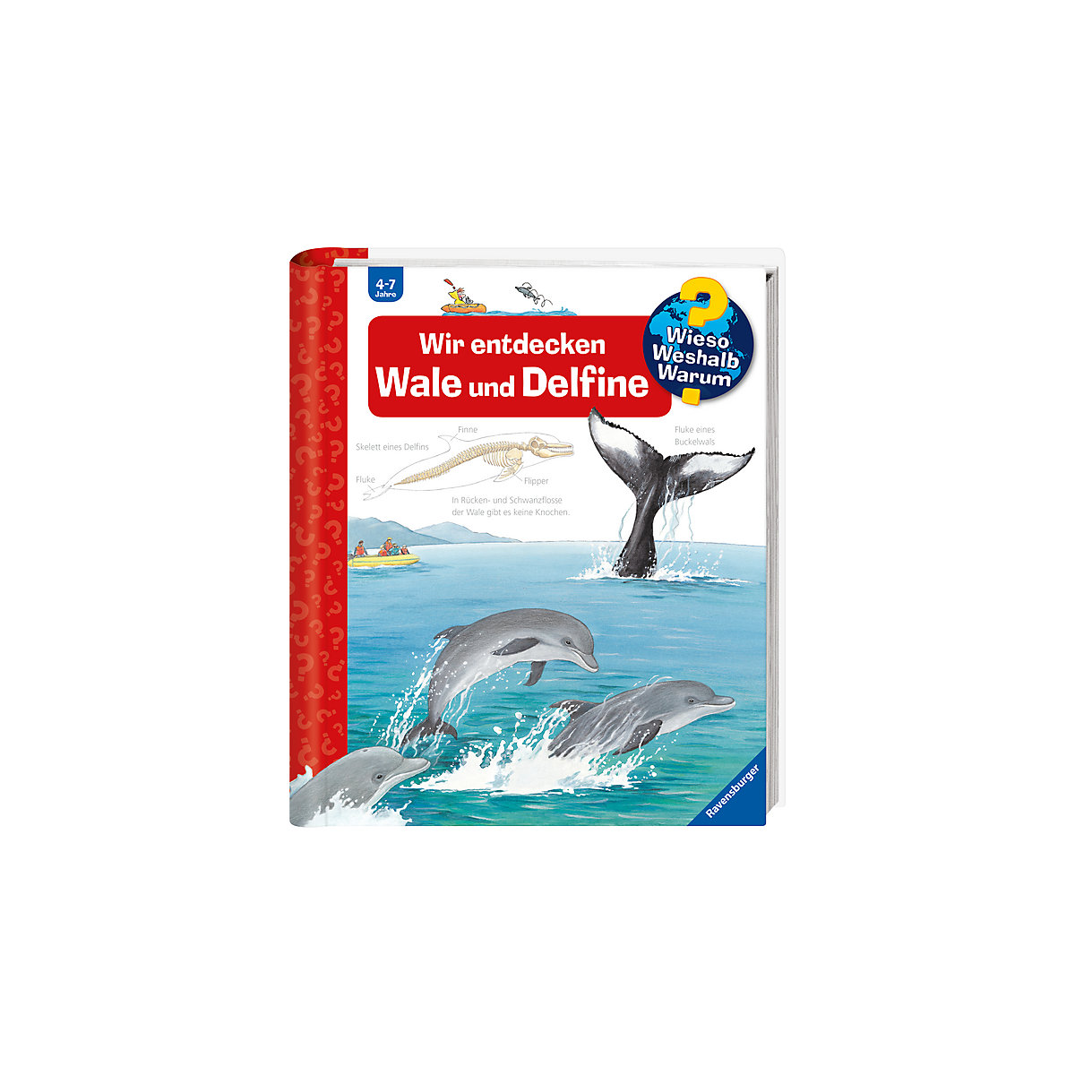 WWW Wir entdecken Wale und Delfine