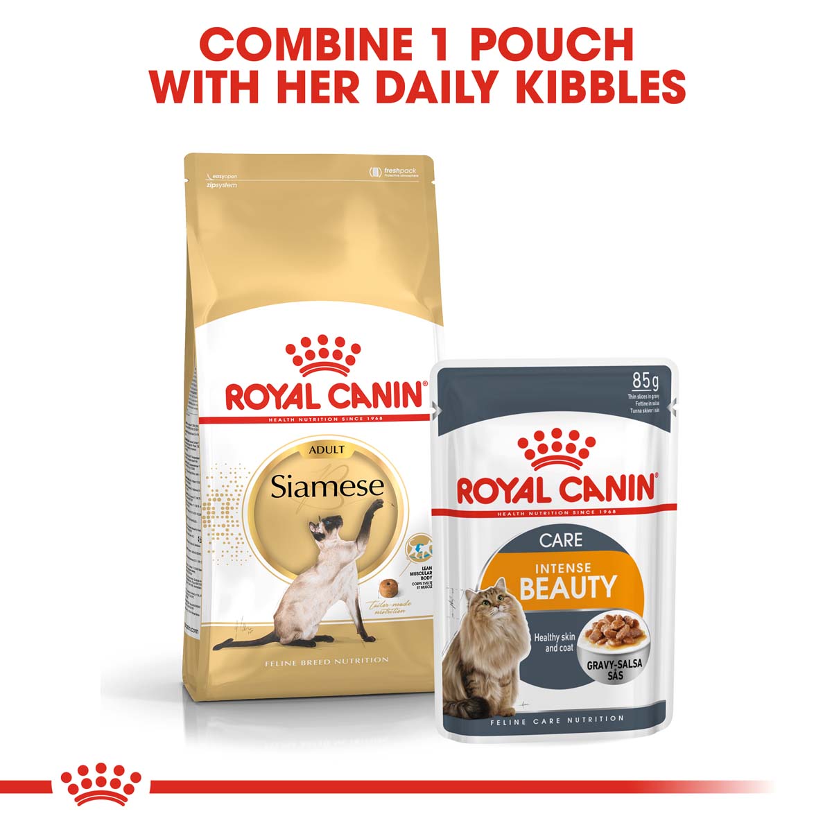 ROYAL CANIN Siamese Adult Katzenfutter trocken