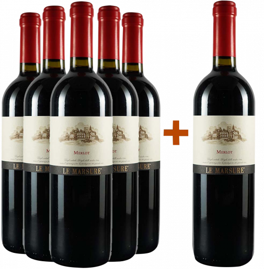 5+1 Paket Merlot Le Marsure - Teresa Raiz