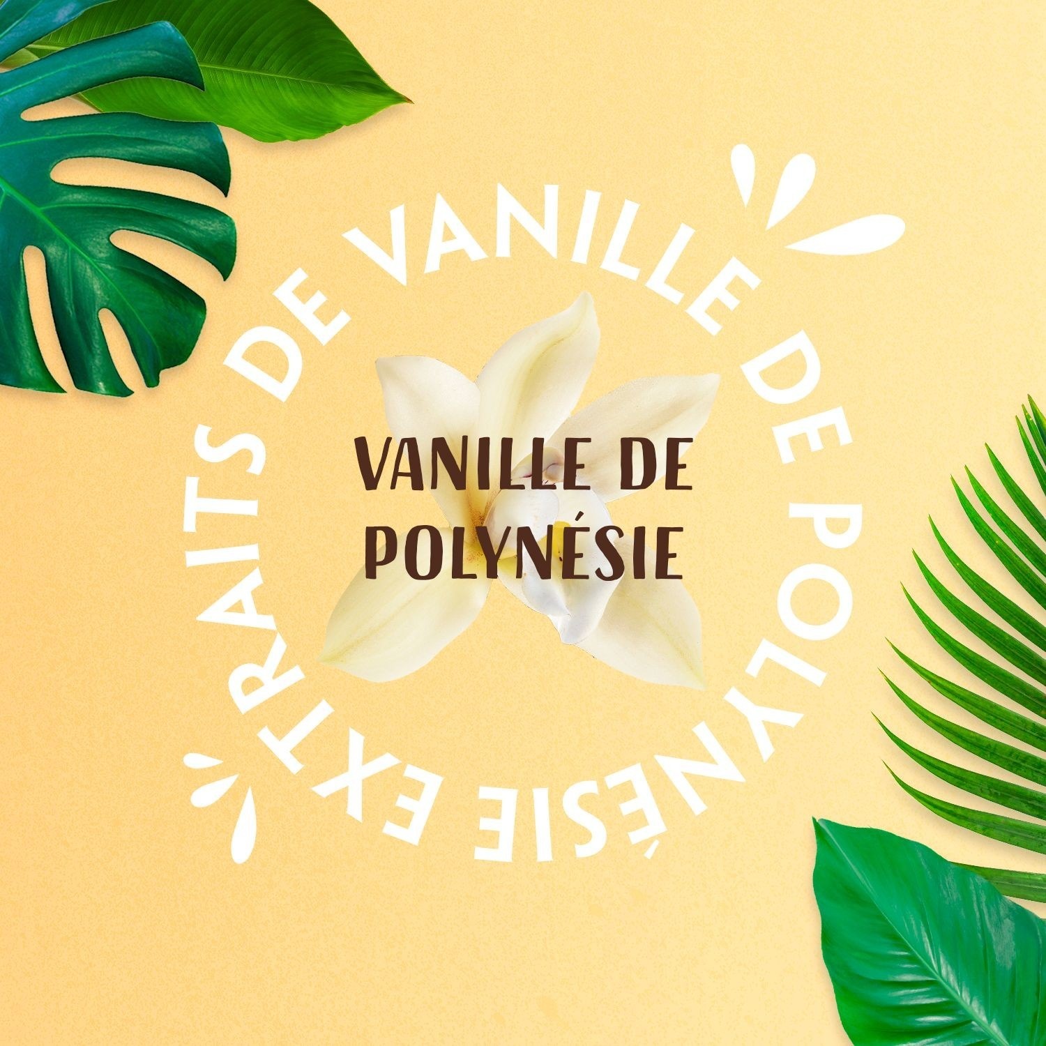 Lovea polinéz vanília tusfürdő