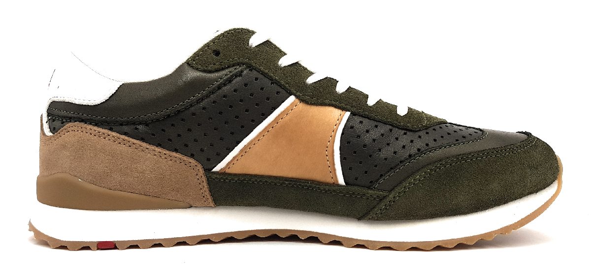 Lloyd Earl 12-401-15 Grün Verde/ cappuccino