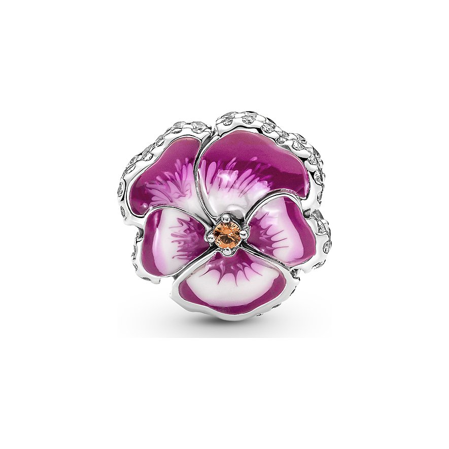 Pandora Charm Moments