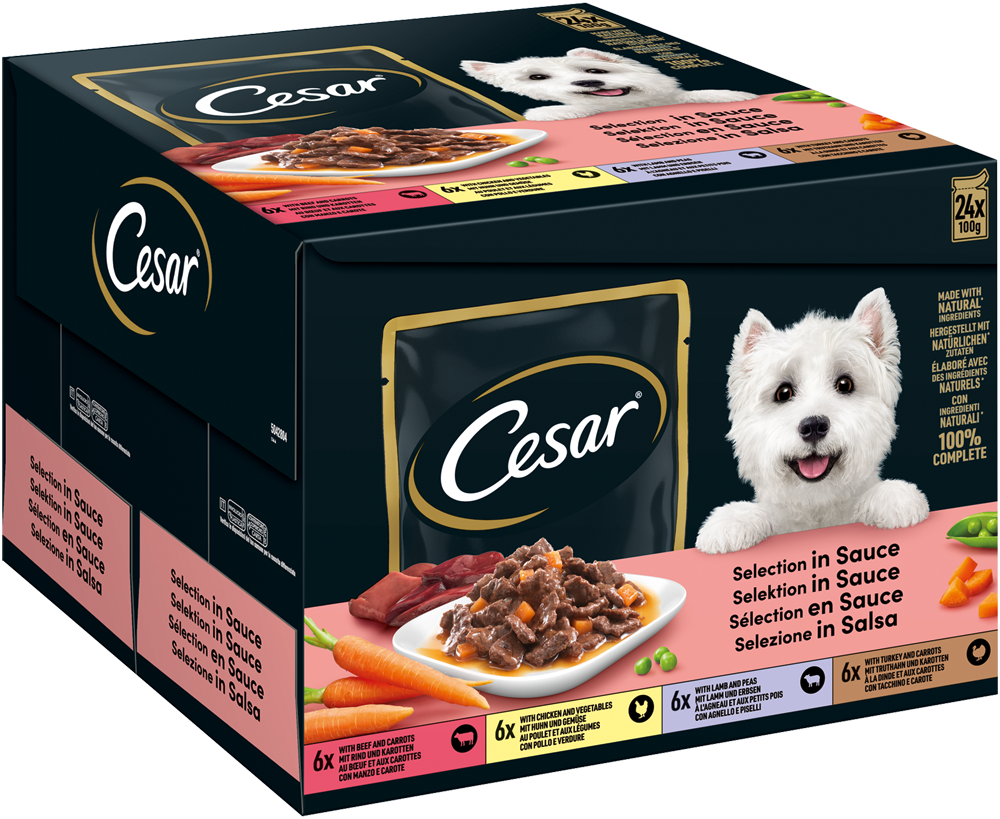 PEDIGREE CESAR Portionsbeutel Multipack Selektion in Sauce 4 Variationen 24 x 100g