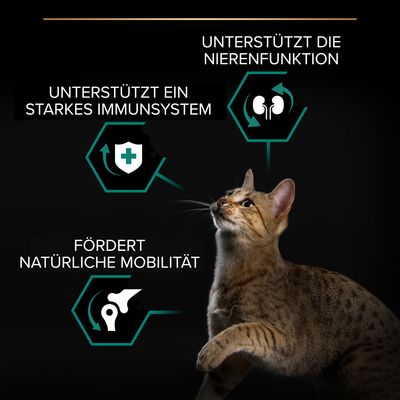 PURINA PRO PLAN Adult Renal Plus reich an Huhn