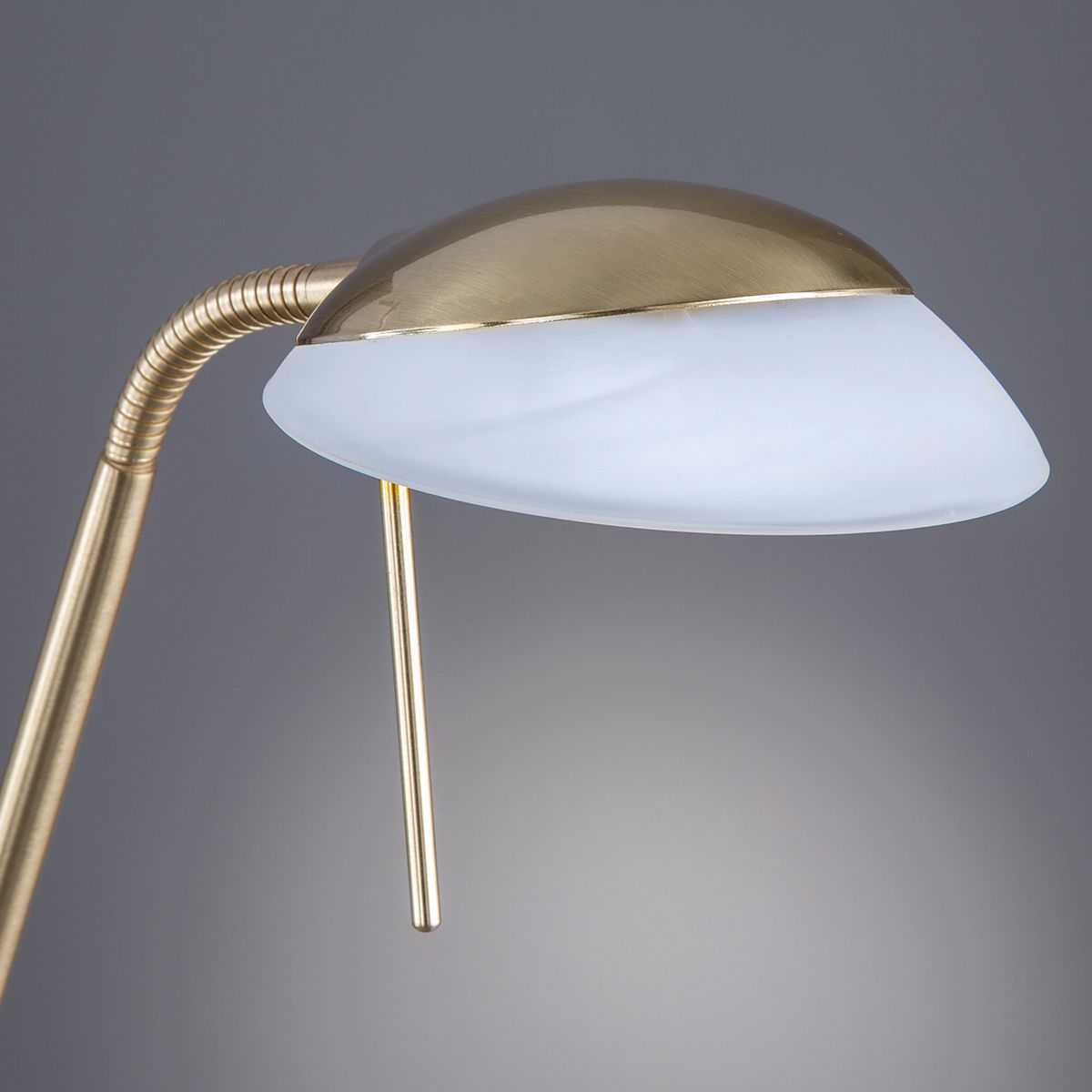 Fischer & Honsel 1-flg LED Stehleuchte Pool-TW messingfarben