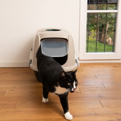 kooa Haubentoilette aus 90% recyceltem Plastik