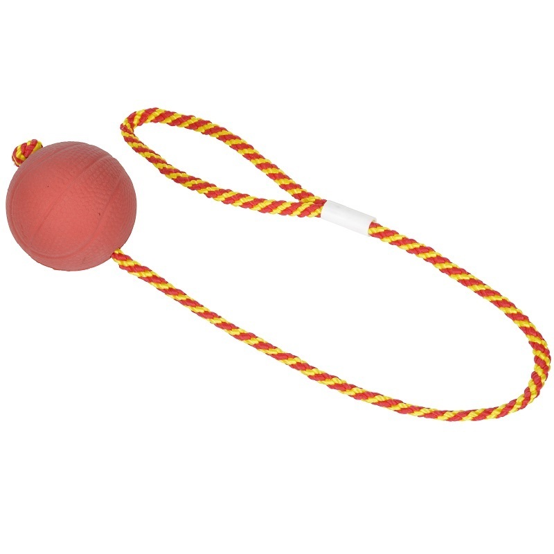 FIT+FUN Hundebälle FIT+FUN Ball am Seil