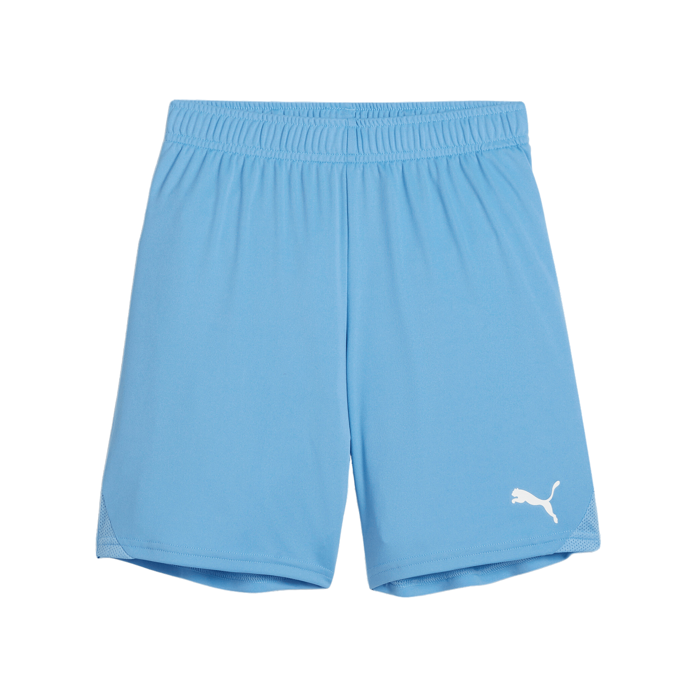 PUMA teamGOAL Short Kids Blau Weiss F18