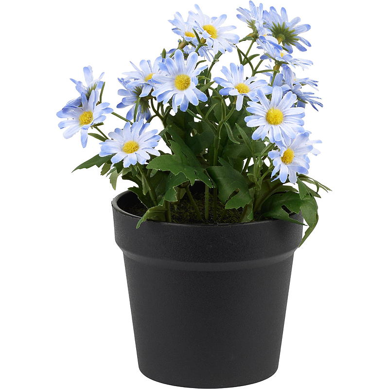 Home Margeritt 27 cm