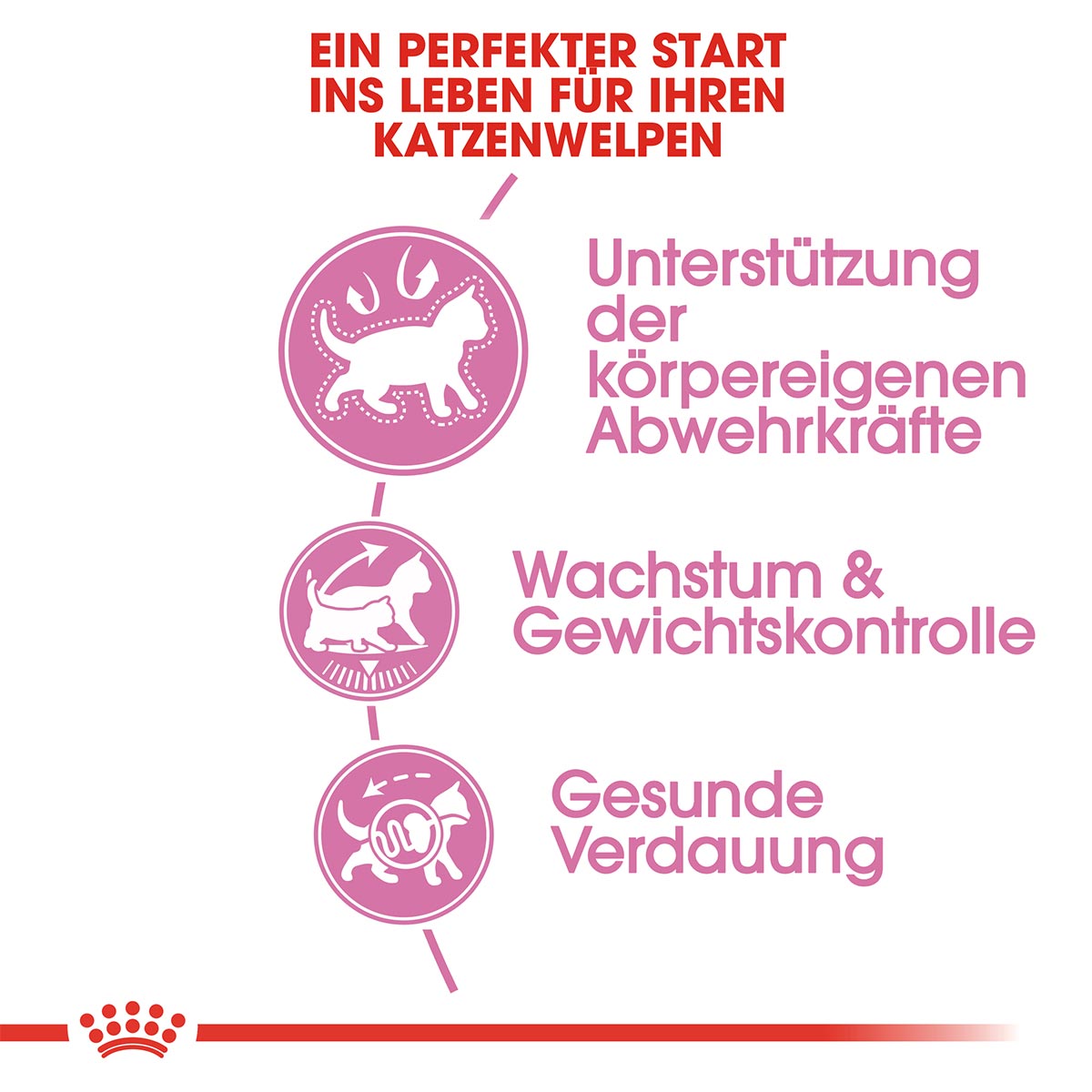 ROYAL CANIN KITTEN Sterilised 3,5kg + Kitten in Soße 12x85g