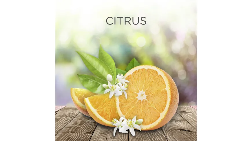 Air Wick Duftölflakon Nachfüller Citrus 19 ml