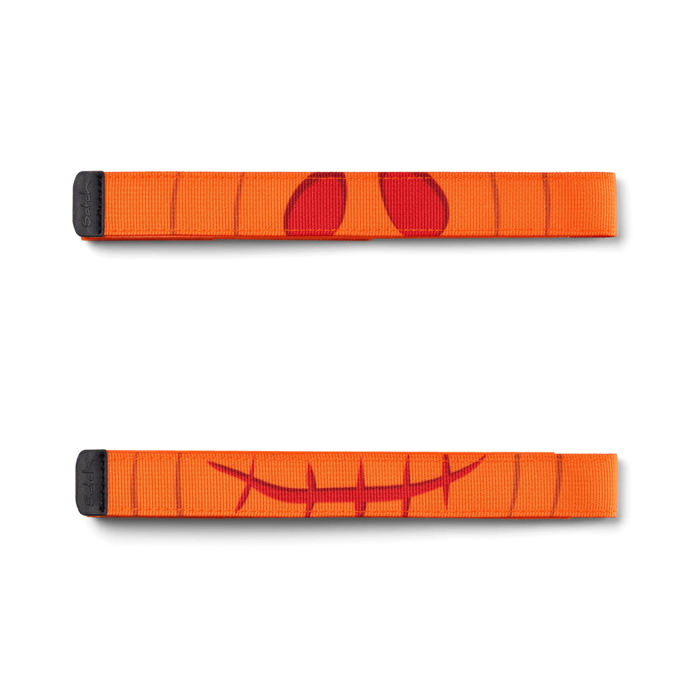 SWAPS Spicy Pumpkin