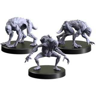 MFC - The Witcher Miniaturen - Grabschänderin - Ghule