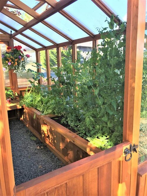 Western Red Cedar 8'x 12' Meridian Greenhouse
