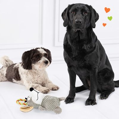 Doglove Hundespielzeug Maus