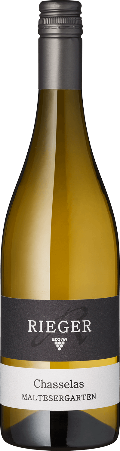 Rieger Chasselas Maltesergarten