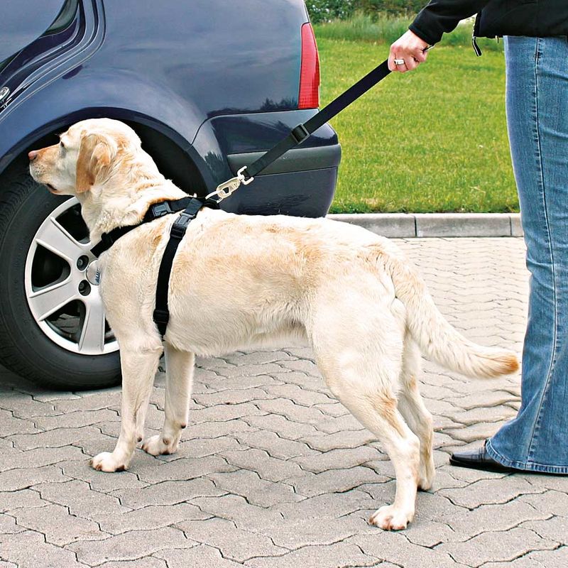 Trixie Auto-Geschirr für Hunde zu TOP-Preisen