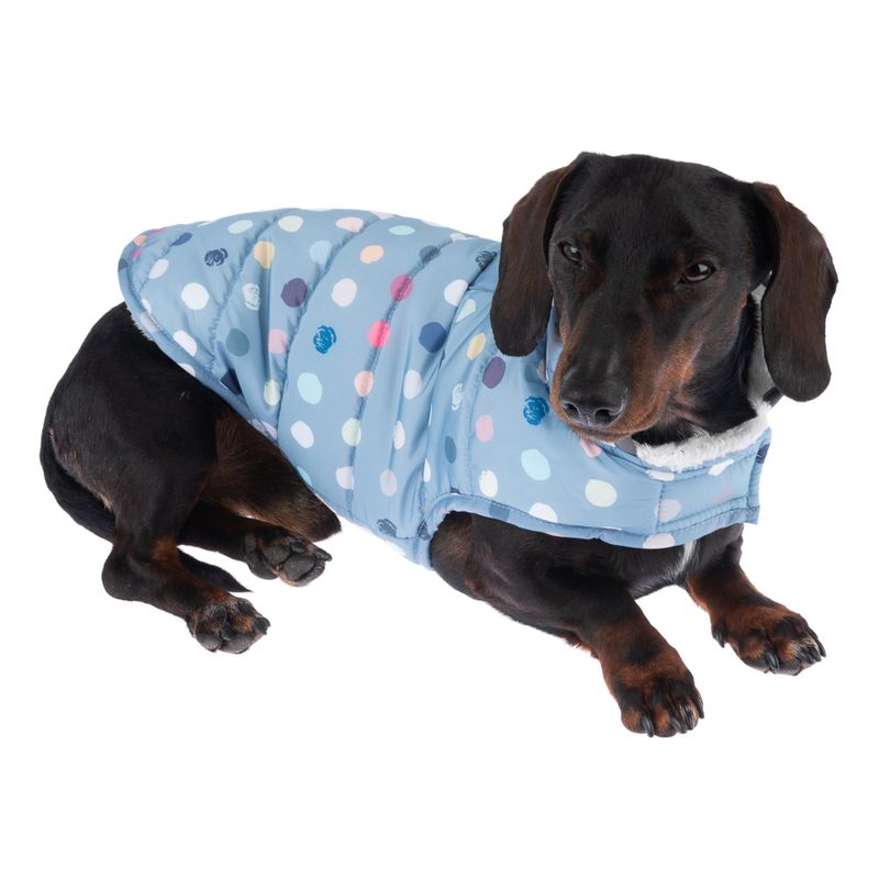 TIAKI Hundemantel Comfy Dots zu TOP-Preisen