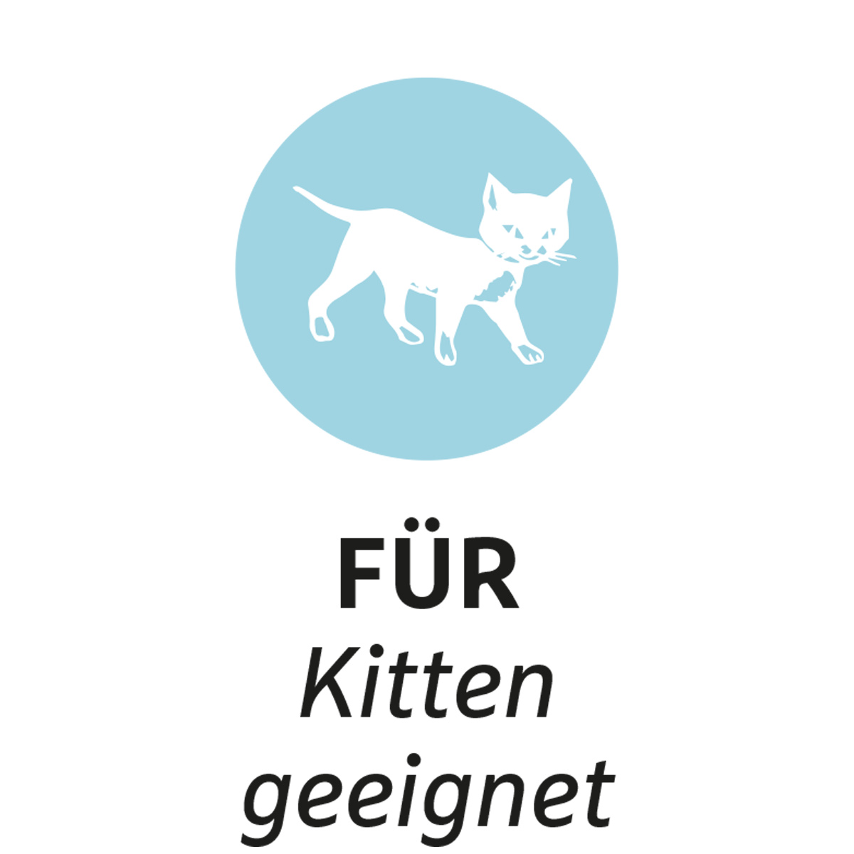 ZooRoyal Schmusekissen mit Katzenminze 3 Stück Design 4 & 5 & 6