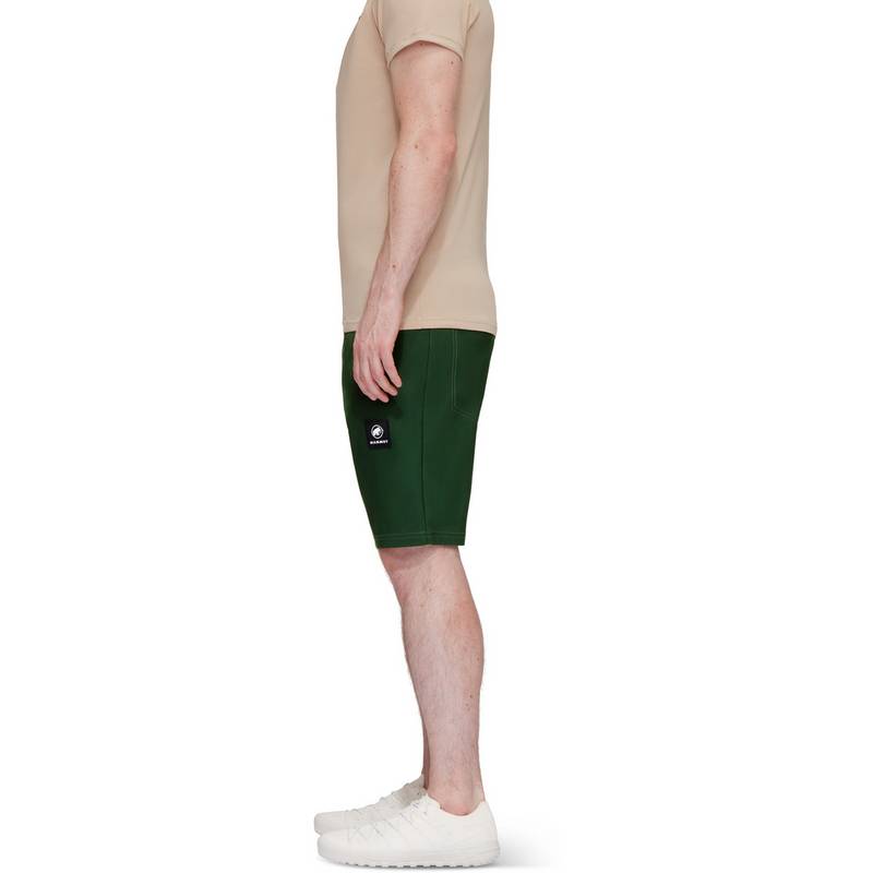 Mammut Shorts Herren
