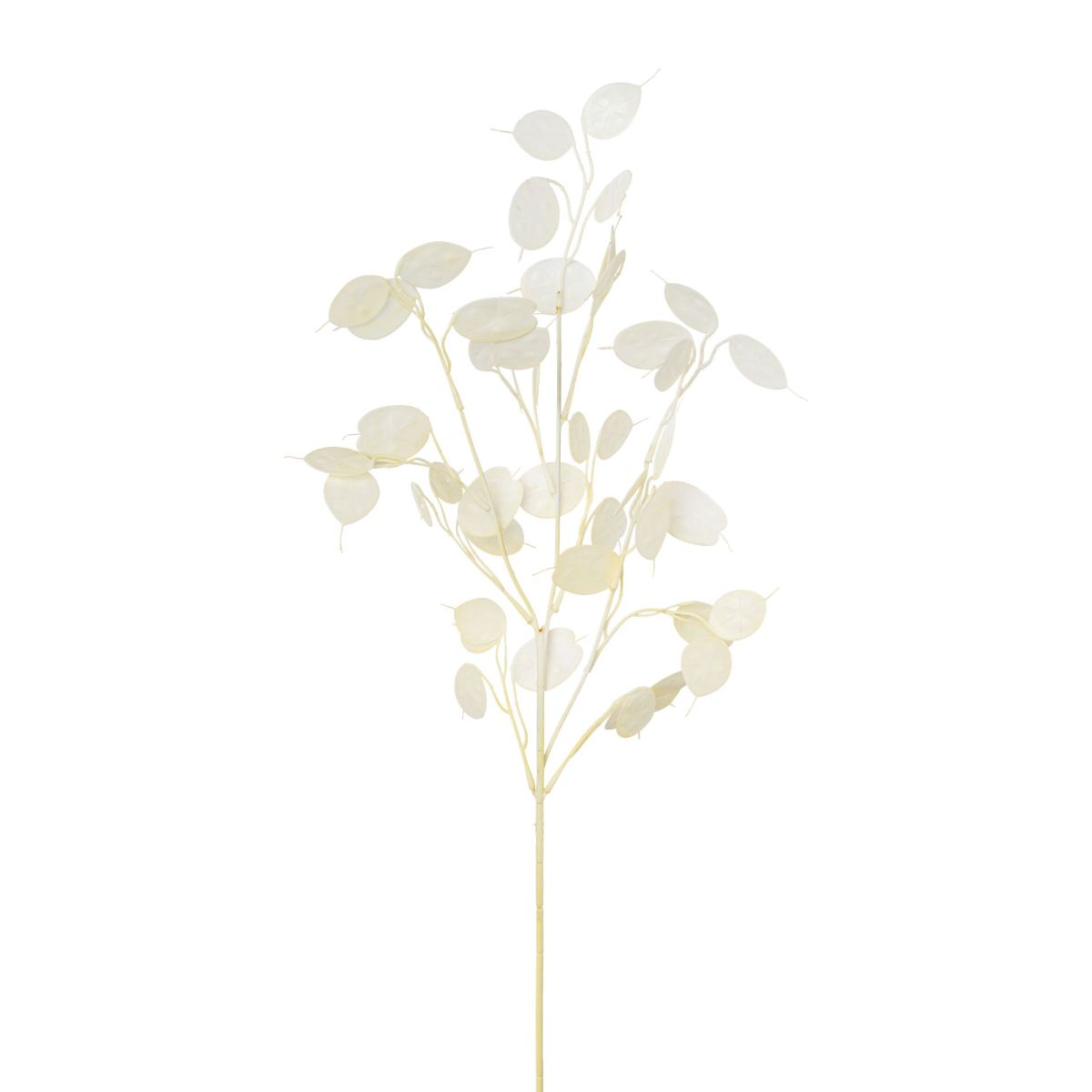 Pfennigblattzweig Kunstpflanze 76 cm Creme