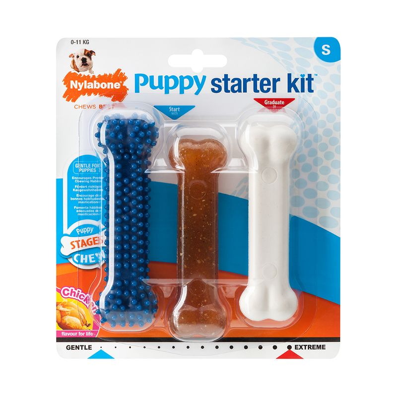Nylabone Puppy Starter Kit Dog Chew zu TOP-Preisen