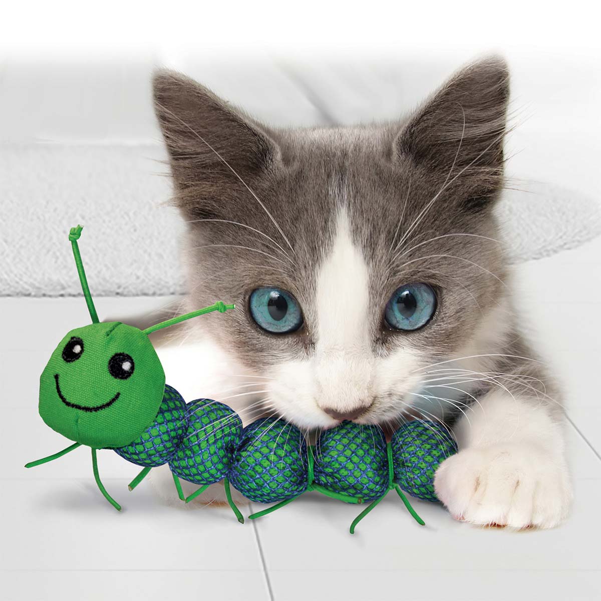 KONG Katzenminzraupe Catnipillar günstig kaufen