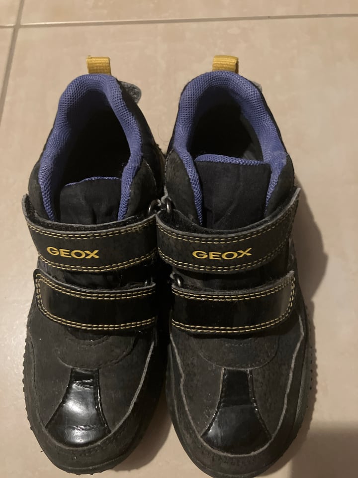 Geox Sneakers 