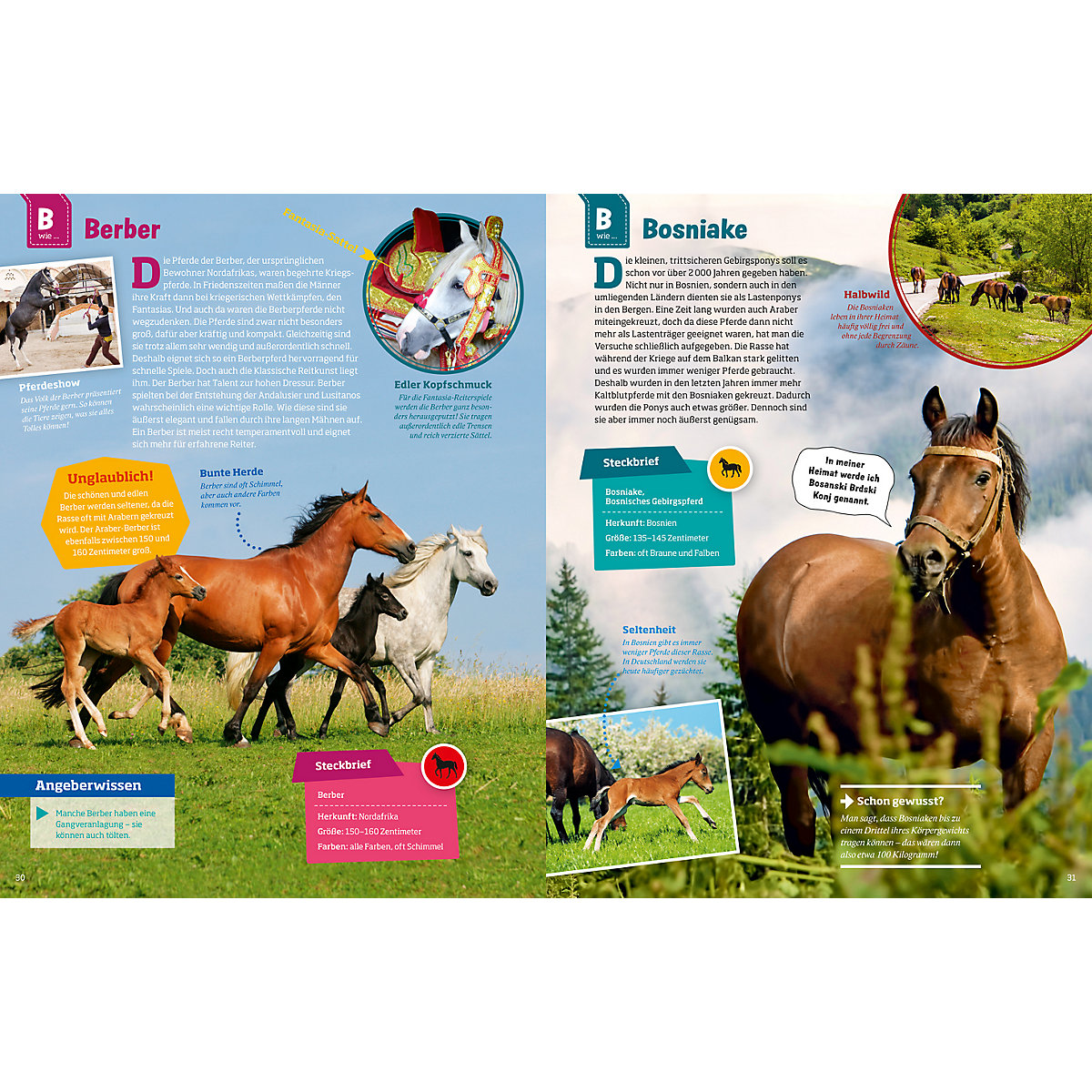 Was ist Was: Pferde und Ponys