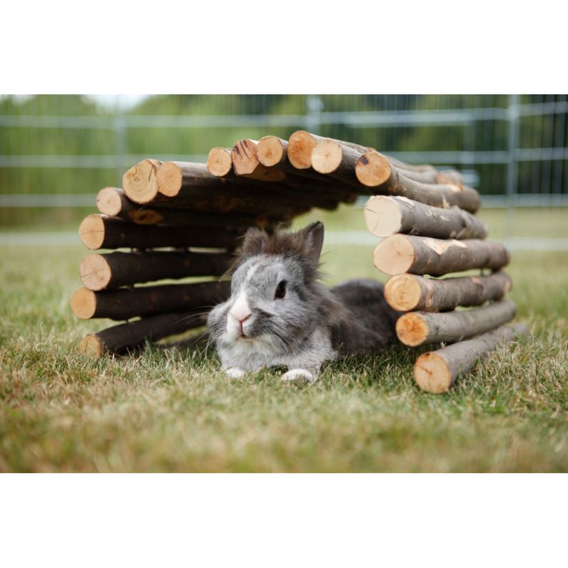 Trixie Brücke zu TOP-Preisen