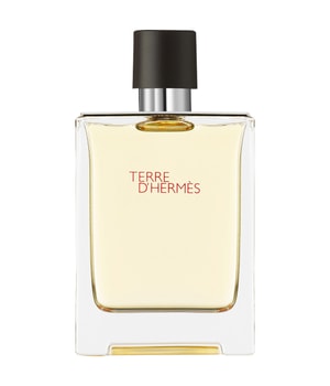 HERMÈS Terre d'Hermès   Eau de Toilette 100 ml