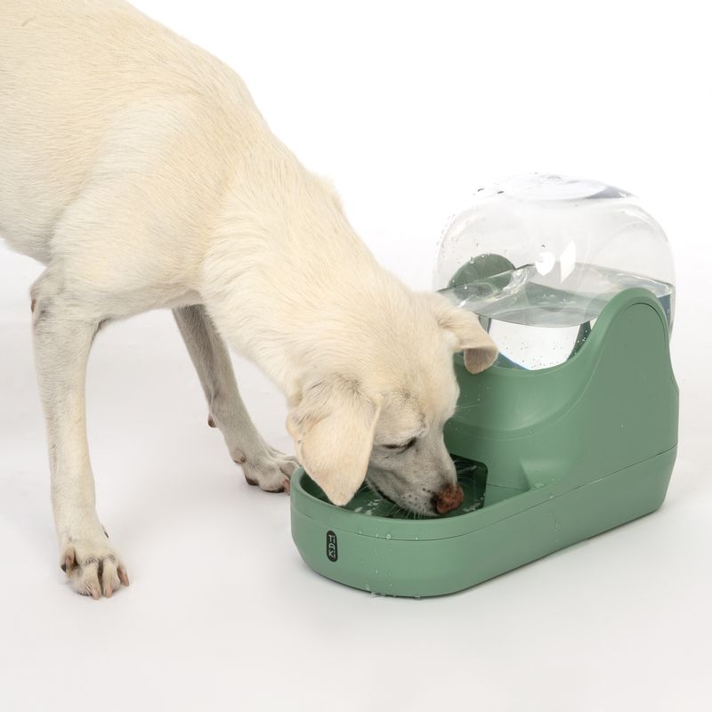TIAKI Wasserspender Bubble zu TOP-Preisen
