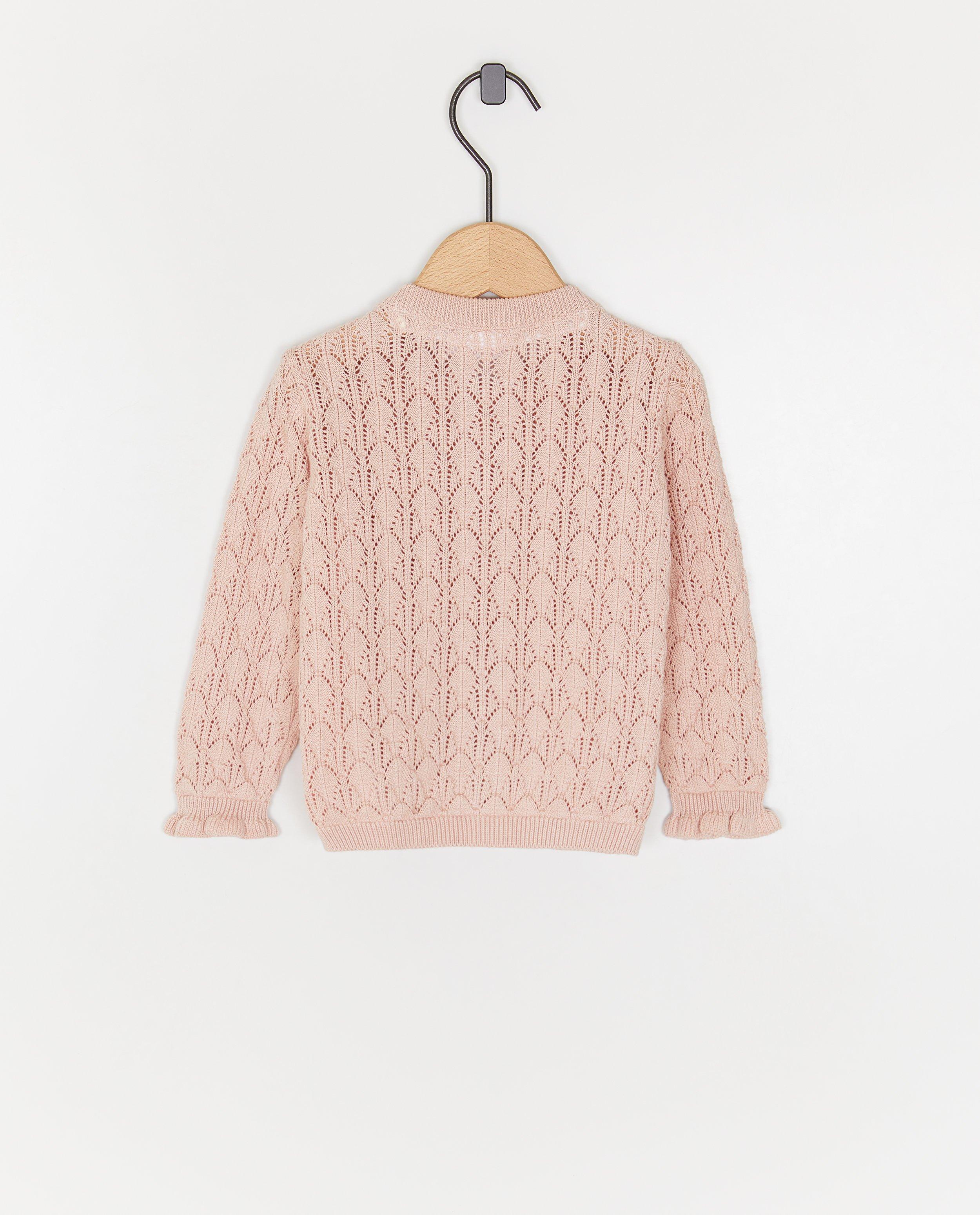 Micul Cardigan olandez sa întâlnit ajour roze